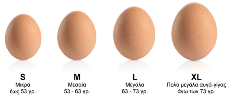 μεγέθη αυγών